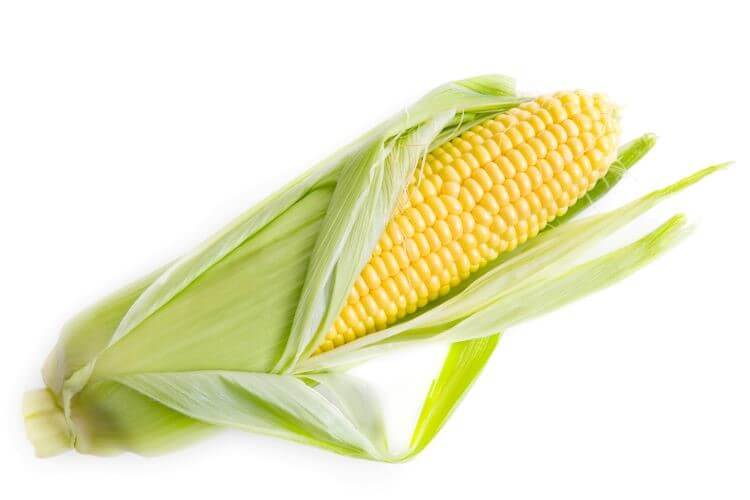 mais de la  sociéte coopérative Coopagrif COOP-CA